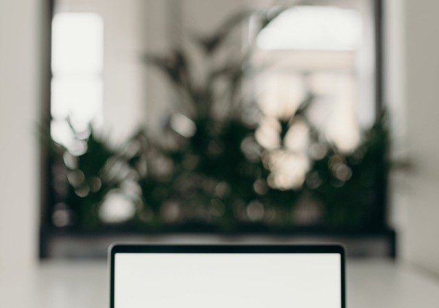 Esto es nuevo segundo